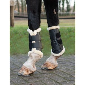 Dressyr benskydd Comfort med extra slagskydd