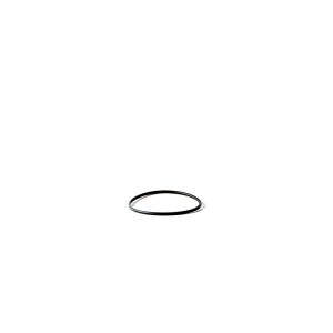 O-ring för unionskoppling  Astral pump Senna
